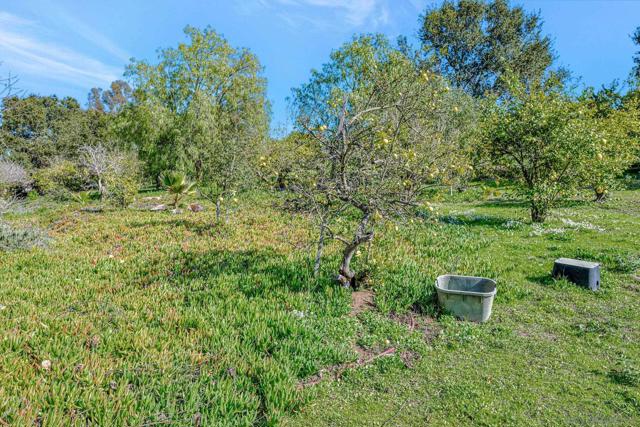 1761 Winterwarm Dr, Fallbrook CA: https://media.crmls.org/mediaz/7f9a0911-3e4a-4ca3-84cc-053827e959fe.jpg