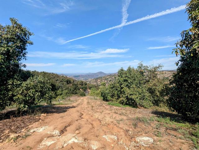Detail Gallery Image 16 of 32 For 0 Couser Canyon Rd, Valley Center,  CA 92082 - – Beds | – Baths