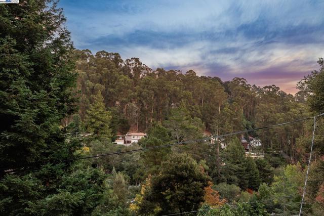 7171 HOMEWOOD DRIVE, Oakland CA: https://media.crmls.org/mediaz/7fa36500-e708-4ea0-80f3-196f32152203.jpg