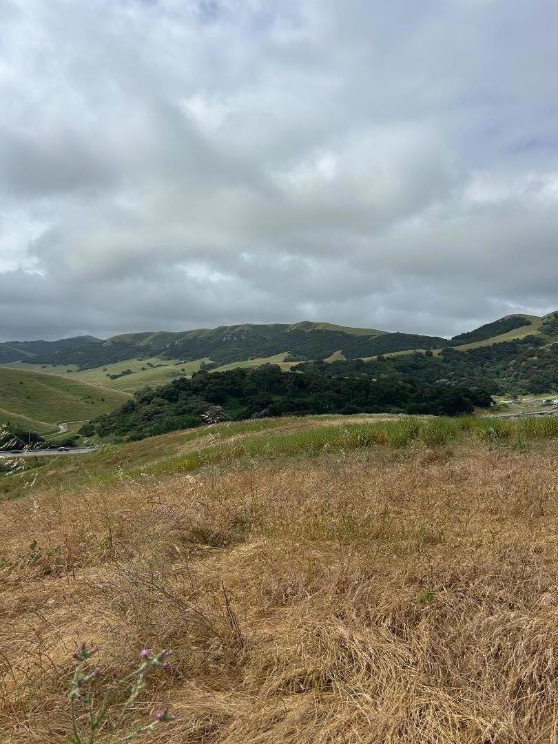 MLS #ML82007272 image #19