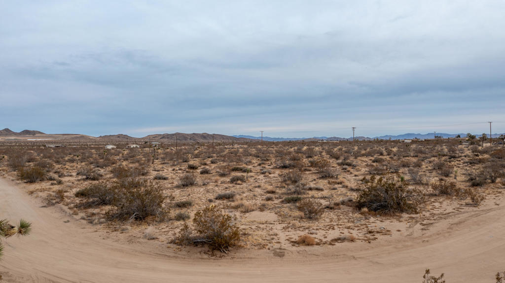 MLS #219130216DA image #9