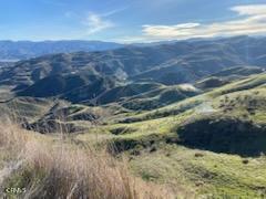 Detail Gallery Image 7 of 9 For 0 Mt Fire Parkway Rd, Val Verde,  CA 91384 - – Beds | – Baths