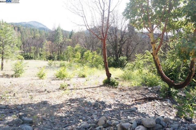101 River Acres, Junction City CA: https://media.crmls.org/mediaz/7fc16098-e019-4cb3-9bb2-aa1361c0fa00.jpg