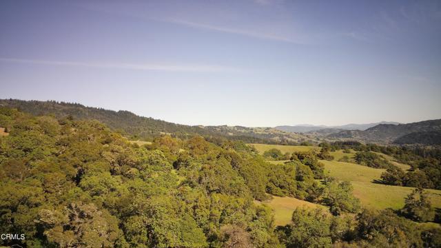 Detail Gallery Image 4 of 59 For 24051 Fig Tree Ln, Yorkville,  CA 95494 - – Beds | – Baths