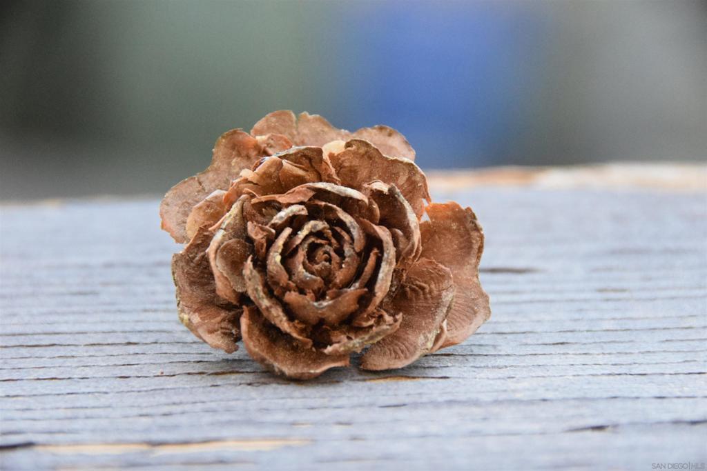 https://media.crmls.org/mediaz/7fcb5442-2722-48cc-b6c6-fad4f863c6ef.jpg?preset=X-Large