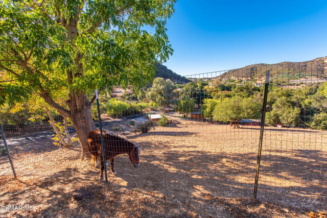 356 E Carlisle Road, Thousand Oaks CA: https://media.crmls.org/mediaz/7fd00bbe-0ede-43f8-bdb2-191aeeec197a.jpg