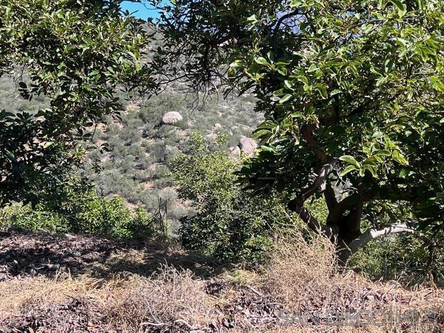 0 Pauma Heights Rd, Valley Center CA: https://media.crmls.org/mediaz/7fd71141-1b72-4c75-bad5-fb5bb4f3f686.jpg