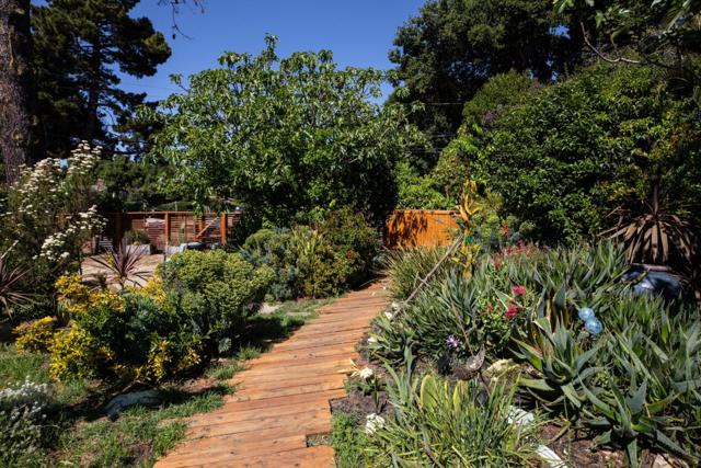 2336 Palo Verde Avenue, East Palo Alto CA: https://media.crmls.org/mediaz/7fd81c89-d07d-4cd4-adca-a237da58daac.jpg