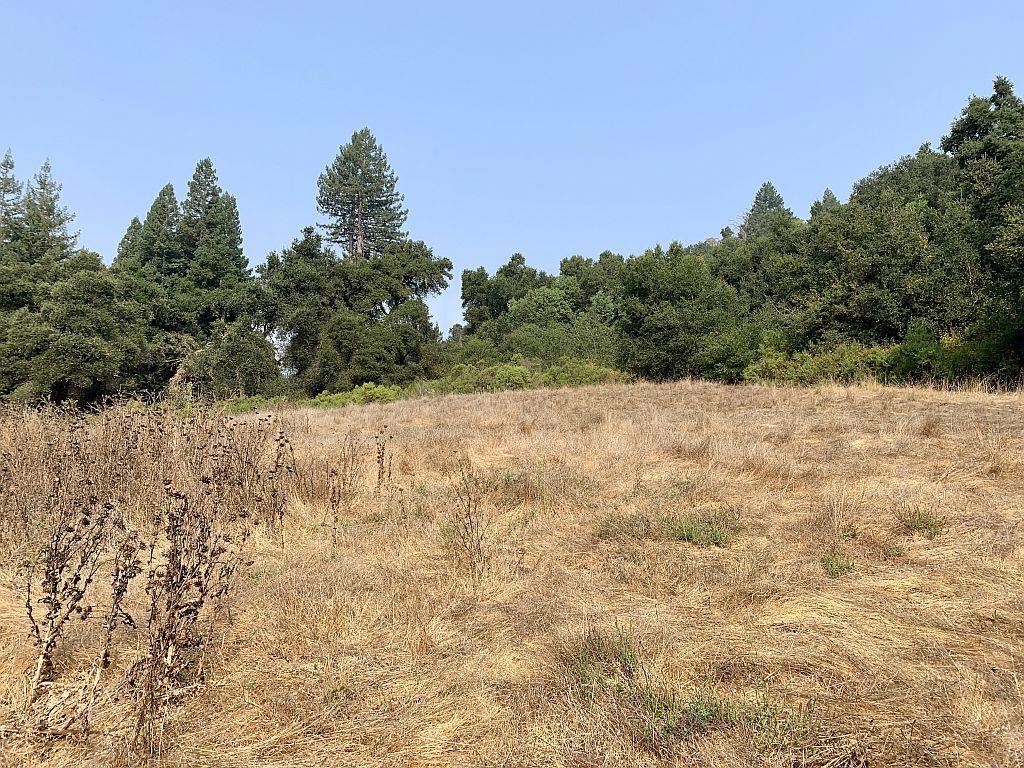 MLS #ML81810757 image #42