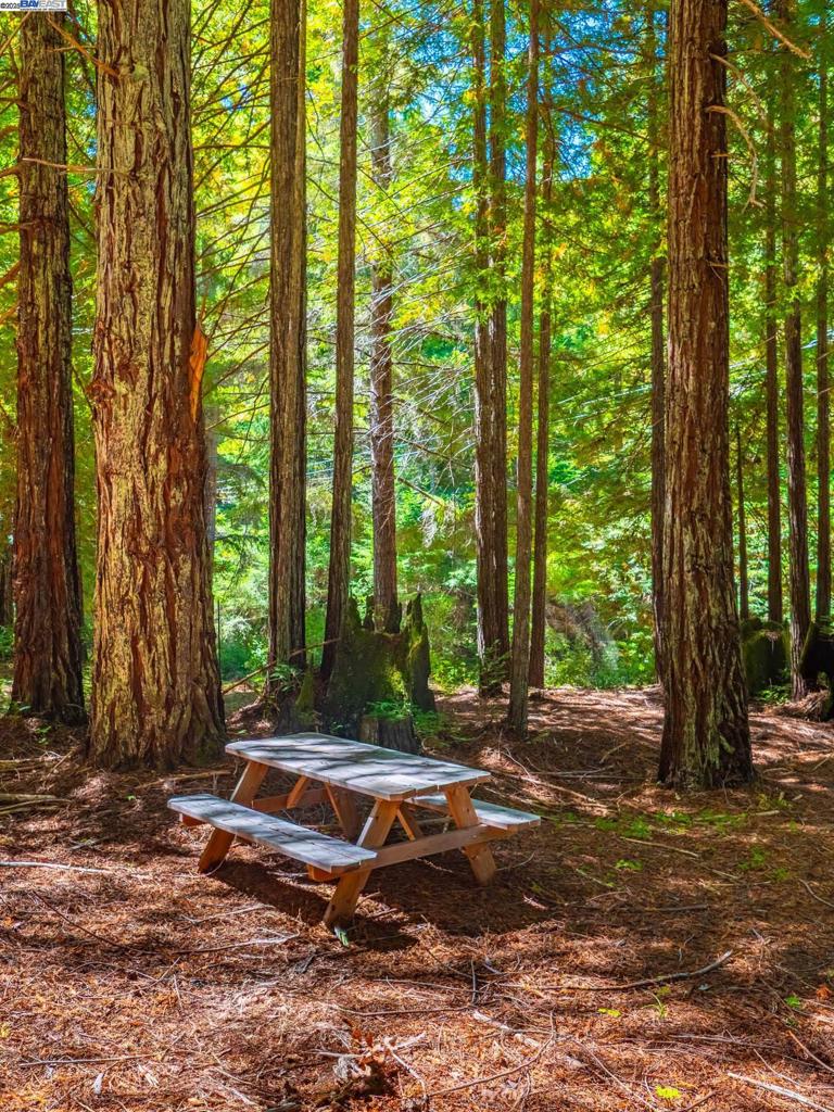 https://media.crmls.org/mediaz/7fe2b4cd-5183-4989-b6f2-287c756a6042.jpg?preset=X-Large