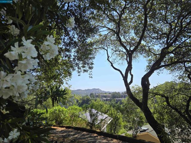 100 Black Log Rd, Kentfield CA: https://media.crmls.org/mediaz/7febb338-0b32-41e9-8cab-d8cfff559ecc.jpg