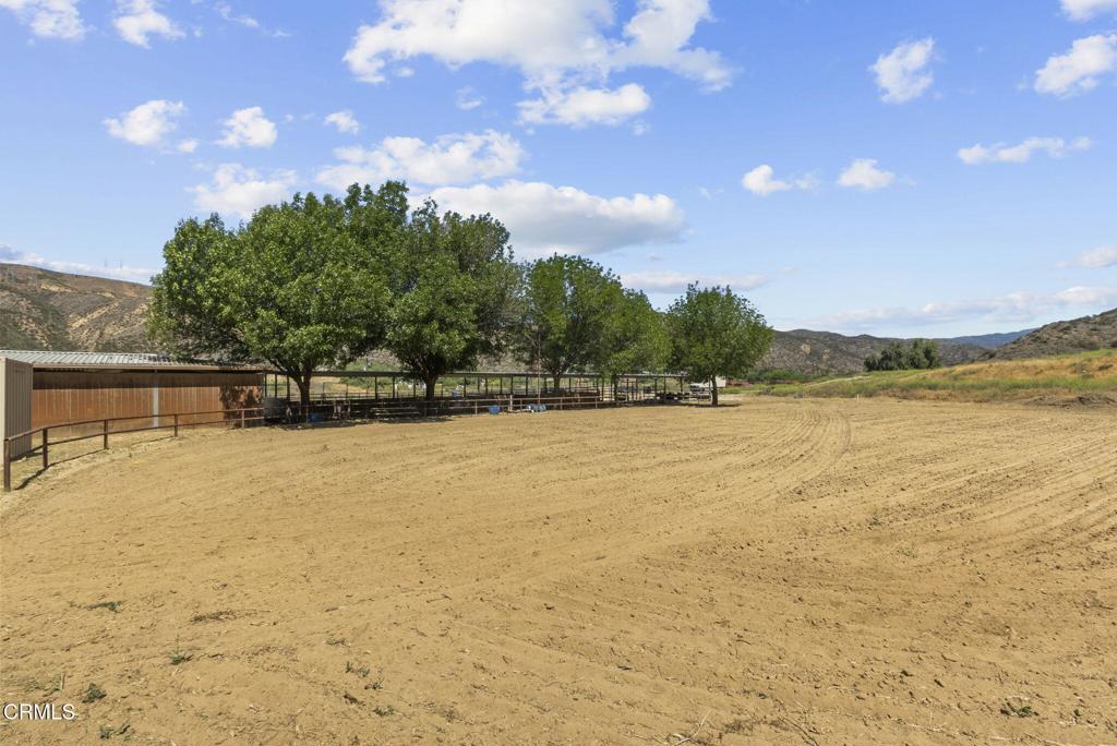 MLS #P1-22584 img 19