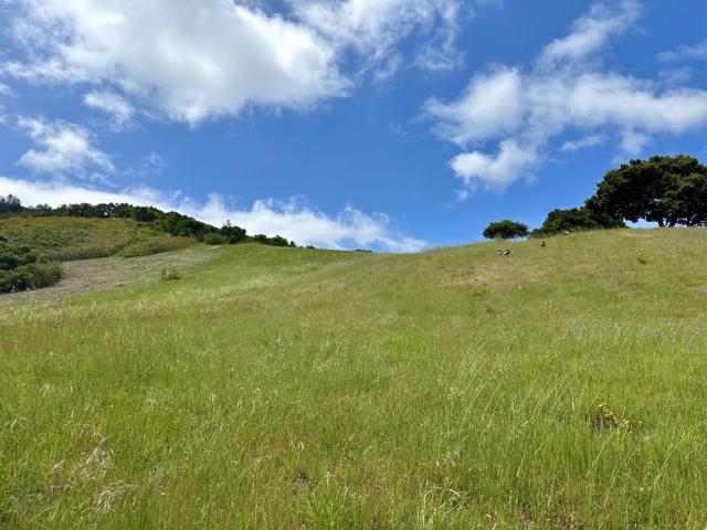29 Potrero Trail, Carmel CA: https://media.crmls.org/mediaz/7fff80ff-20c0-4128-b2f2-8d2b66fa6470.jpg
