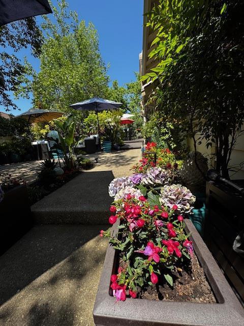7133 Via Solana, San Jose CA: https://media.crmls.org/mediaz/8005f61d-d04a-4ab5-98dc-b4934b55df17.jpg