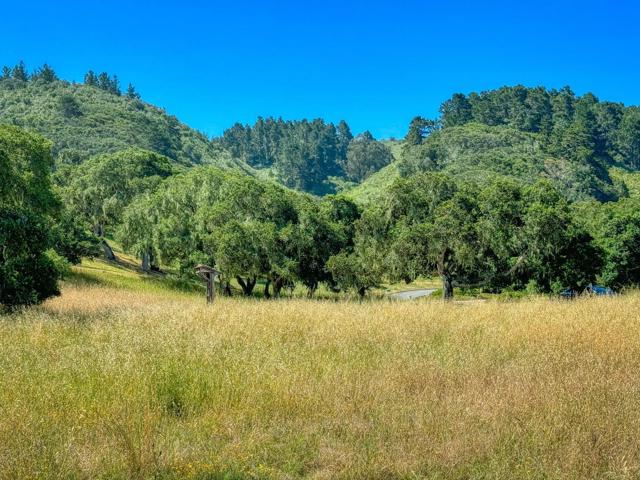 8340 Vista Monterra, Monterey CA: https://media.crmls.org/mediaz/8007729b-59be-4a55-9ca0-bdbe5ef102ac.jpg