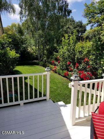 Boxthorn back patio 2