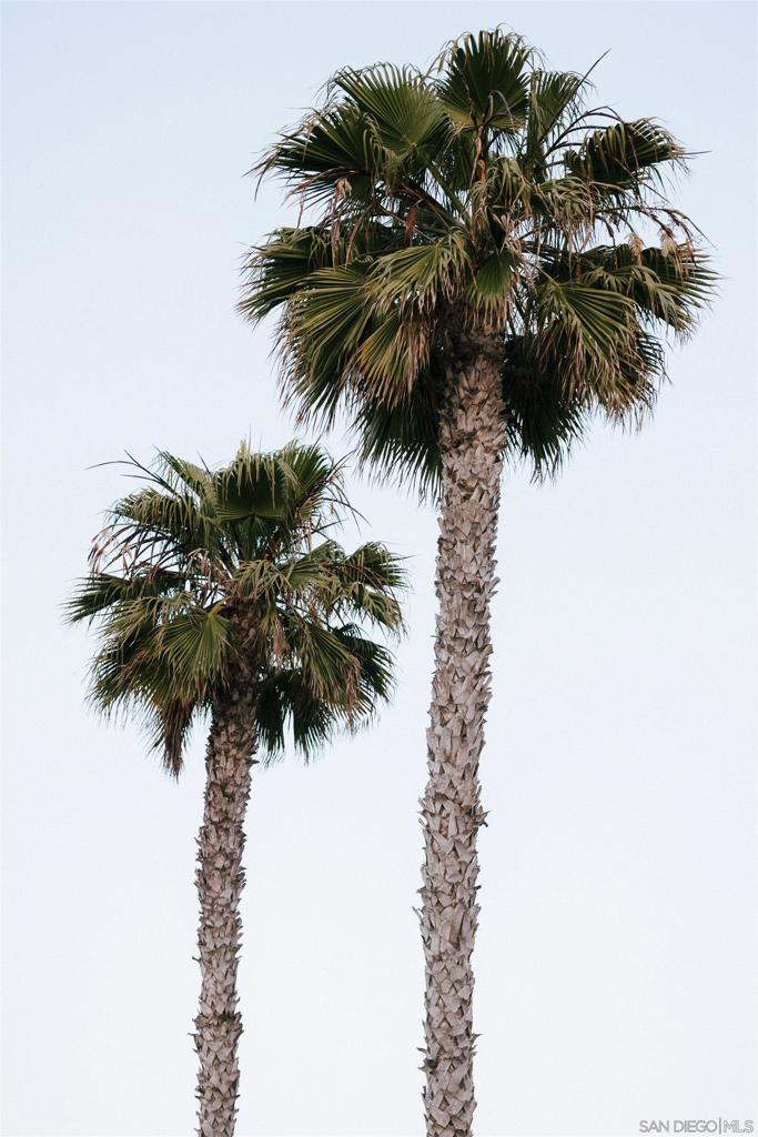 https://media.crmls.org/mediaz/800d5526-d607-41a4-ba63-e27292259c89.jpg?preset=X-Large