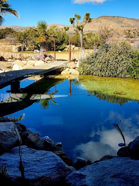 3569 Calmada Road, Pioneertown CA: https://media.crmls.org/mediaz/800dae97-e2e7-4878-a5a0-d46a0ed60eac.jpg