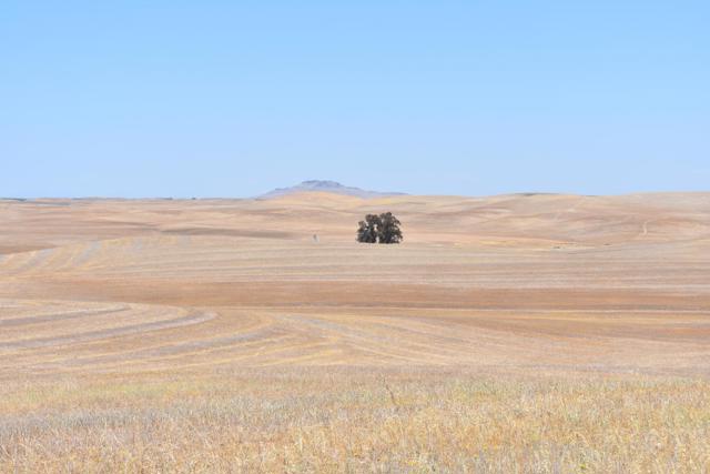 Image 13 of 14 For 0 Road 33  