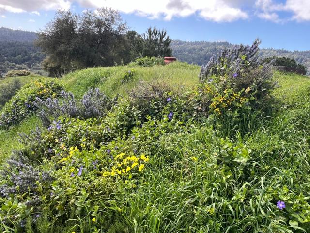 19375 Montevina Road, Los Gatos CA: https://media.crmls.org/mediaz/80175c50-533a-4c68-b5e1-f2519503a879.jpg