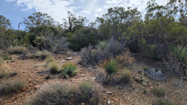 0 Palace Drive, Mountain Center CA: https://media.crmls.org/mediaz/80181113-83d1-4718-8ac8-a76eb07992ac.jpg