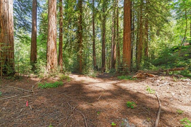 0 Grove Street, Los Gatos CA: https://media.crmls.org/mediaz/801da3a1-2c1e-4ded-8b52-6e12f61b68e5.jpg