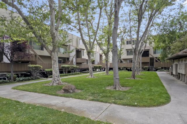 410 Auburn Way, San Jose CA: https://media.crmls.org/mediaz/802863d2-b435-422d-af34-9ba7e0c9e2b4.jpg