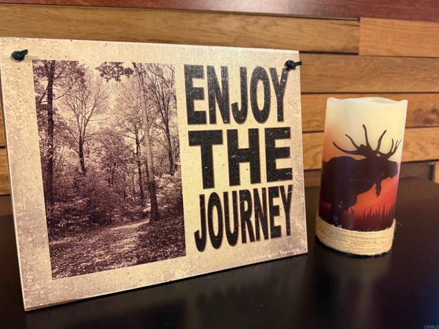 Detail Gallery Image 21 of 49 For 32811 Birch Hill Rd, Palomar Mountain,  CA 92060 - 2 Beds | 1 Baths