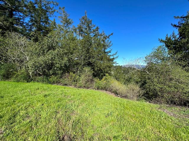 22065 Old Santa Cruz Highway, Los Gatos CA: https://media.crmls.org/mediaz/8031aa8c-09a1-4e97-85e9-6df5caa9c3e4.jpg