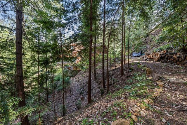 489 Northridge Drive, Scotts Valley CA: https://media.crmls.org/mediaz/80330a6a-5e9d-4729-b276-598a4baed379.jpg