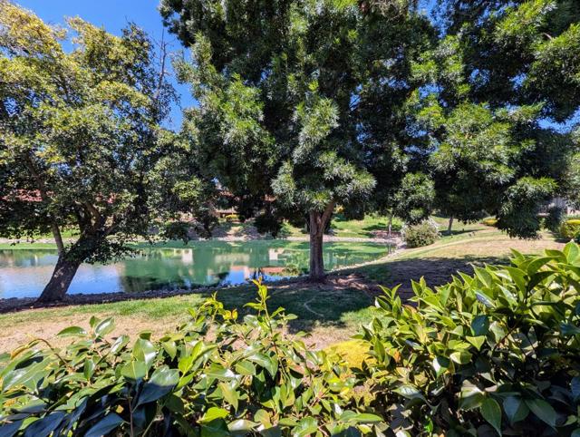 8442 Chenin Blanc Lane, San Jose CA: https://media.crmls.org/mediaz/8034256c-ca52-49ee-a84c-83f54f719733.jpg
