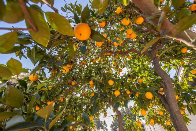 Detail Gallery Image 11 of 34 For 3653 55 37th St, San Diego,  CA 92105 - 3 Beds | 2 Baths