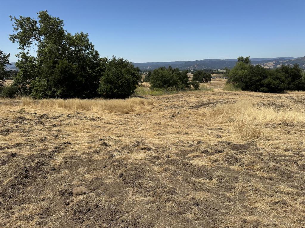 MLS #ML82011312 image #6