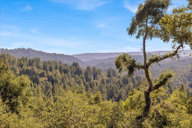 25435 Hutchinson Road, Los Gatos CA: https://media.crmls.org/mediaz/803cddb2-6379-4838-969e-2b6f17faafa6.jpg