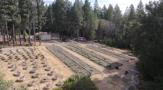 1605 Fitch Road, Laytonville CA: https://media.crmls.org/mediaz/804436fc-9a0c-4221-b3c0-c59ea23272f3.jpg