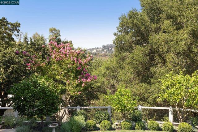 1023 Ameno Court, Lafayette CA: https://media.crmls.org/mediaz/804adbc7-2a83-48d7-9de4-05c5016ab873.jpg