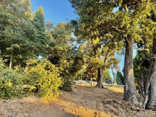 Detail Gallery Image 3 of 37 For 10 Acres Greenfield Way, Palomar Mountain,  CA 92060 - – Beds | – Baths