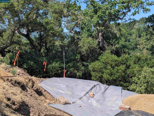 13 St. James Ct., Orinda CA: https://media.crmls.org/mediaz/8069aa74-d838-4306-865f-fe5eb01e3d90.jpg