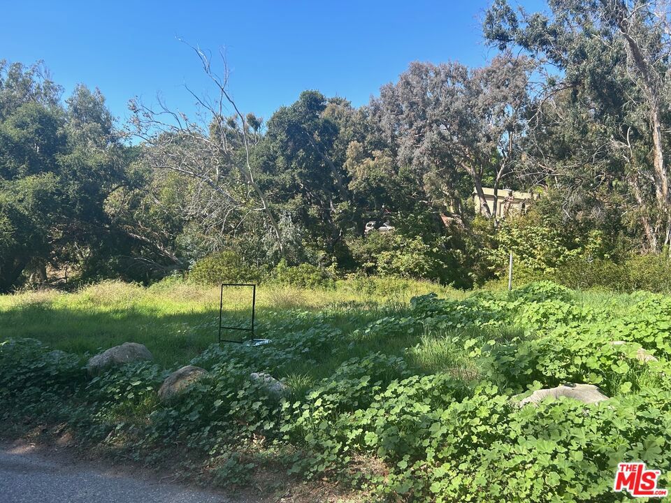 MLS #25515773 img 17