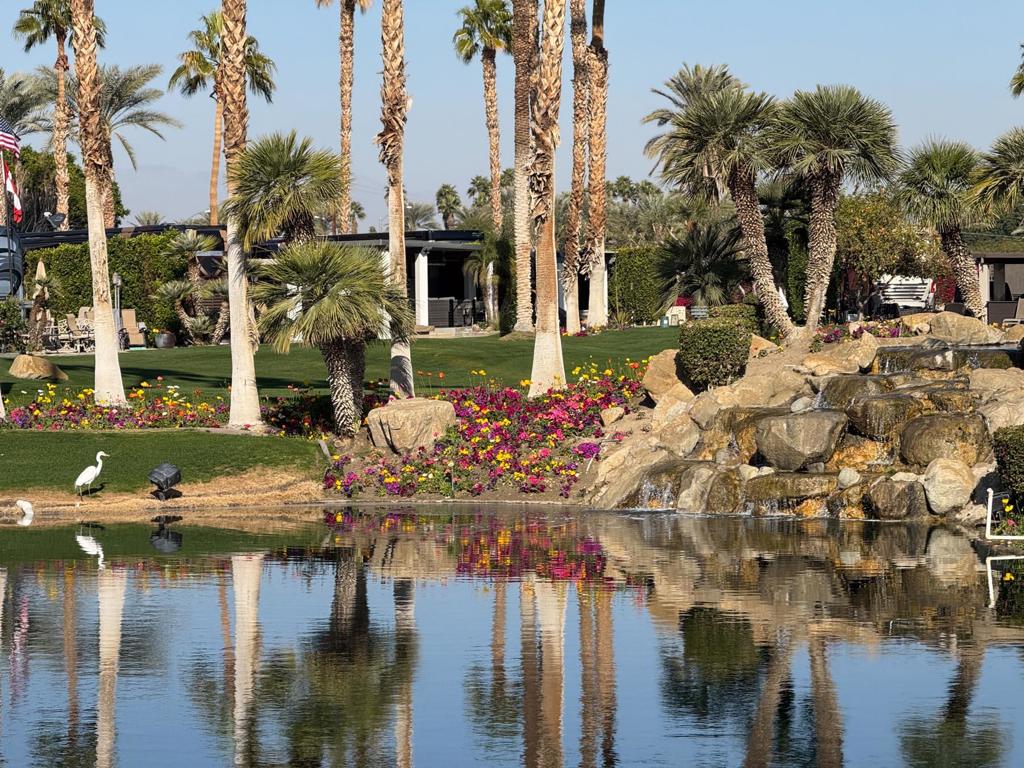 MLS #219138361DA image #3