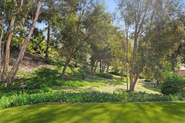 Detail Gallery Image 69 of 75 For 1927 Belmore Ct, El Cajon,  CA 92020 - 3 Beds | 2/1 Baths