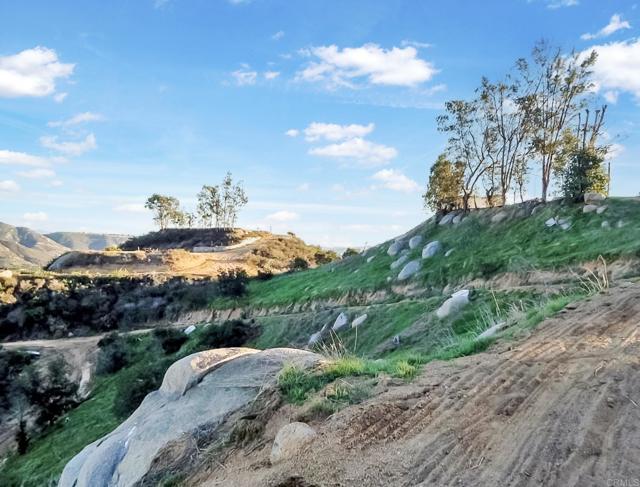 3020 Lynn Lane, San Marcos CA: https://media.crmls.org/mediaz/809f44cf-2ef0-4c97-ad6e-973f3c25f47b.jpg