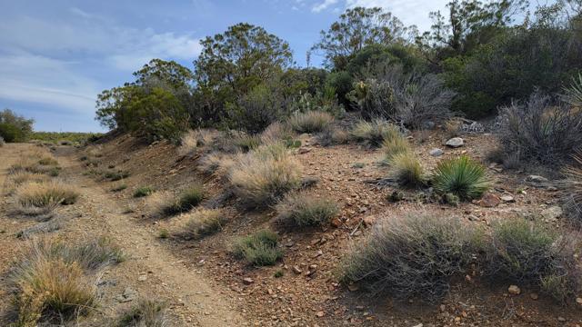 0 Palace Drive, Mountain Center CA: https://media.crmls.org/mediaz/80a2a2c3-a044-4766-9c8c-c8329710d57f.jpg