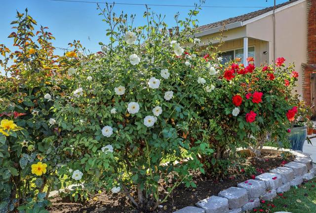 4547 Cerritos Avenue, Fremont CA: https://media.crmls.org/mediaz/80a6988a-1e3a-4e3d-a390-d79a3804e9ea.jpg