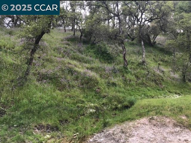 5098 Cantle Road, Copperopolis CA: https://media.crmls.org/mediaz/80a90754-5bef-4d61-a807-d168fd7a6345.jpg