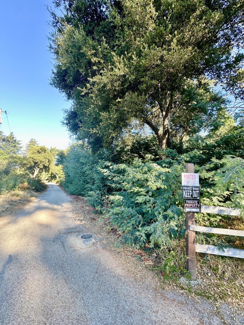 MLS #ML81977847 image #10