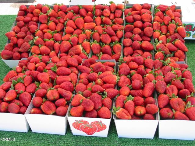 Detail Gallery Image 68 of 70 For 111 E Bay Bld, Port Hueneme,  CA 93041 - 2 Beds | 2 Baths