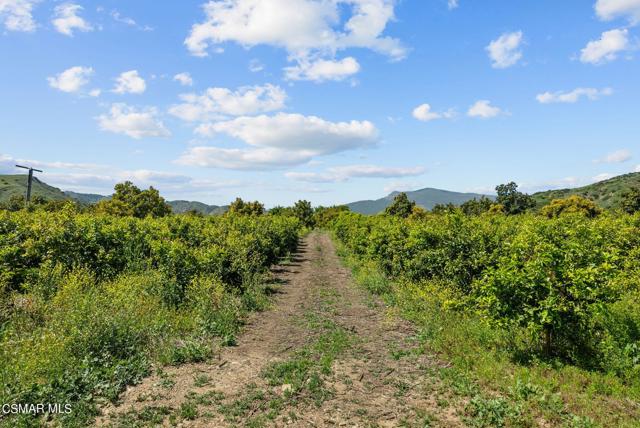 5682 Pine Grove Road, Santa Paula CA: https://media.crmls.org/mediaz/80b693ec-470c-4db8-9fff-57174daedfa5.jpg