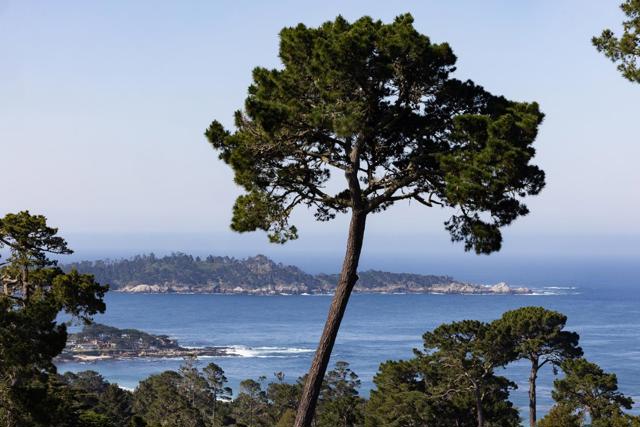 24728 San Carlos Street, Carmel CA: https://media.crmls.org/mediaz/80bb54d0-9ebb-4516-9c53-52d9f8525d37.jpg