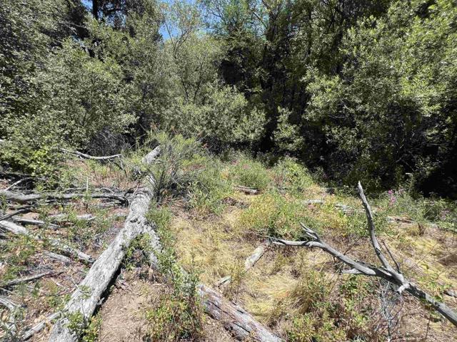 Detail Gallery Image 11 of 17 For Riverside Dr, Descanso,  CA 91916 - – Beds | – Baths